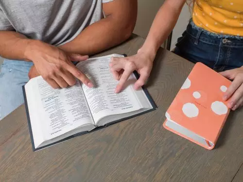 NIV, Teen Study Bible (For Life Issues You Face Every Day), Compact, Leathersoft, Peach, Comfort Print