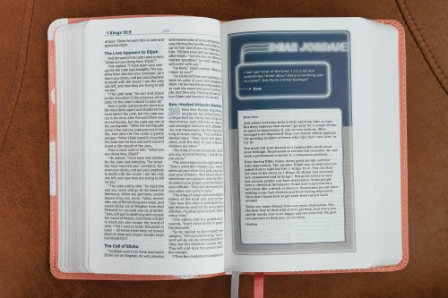 NIV, Teen Study Bible (For Life Issues You Face Every Day), Compact, Leathersoft, Peach, Comfort Print