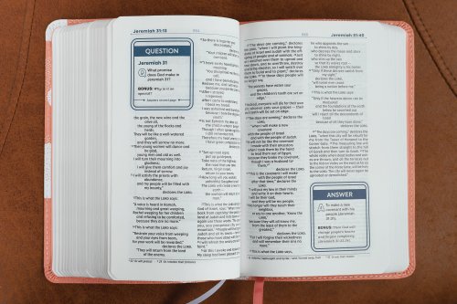 NIV, Teen Study Bible (For Life Issues You Face Every Day), Compact, Leathersoft, Peach, Comfort Print