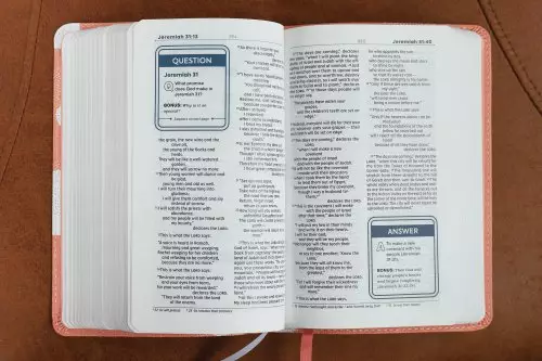 NIV, Teen Study Bible (For Life Issues You Face Every Day), Compact, Leathersoft, Peach, Comfort Print