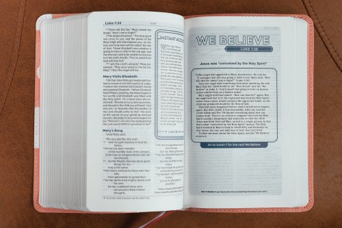 NIV, Teen Study Bible (For Life Issues You Face Every Day), Compact, Leathersoft, Peach, Comfort Print