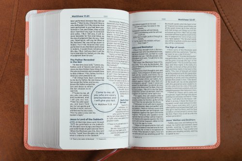 NIV, Teen Study Bible (For Life Issues You Face Every Day), Compact, Leathersoft, Peach, Comfort Print