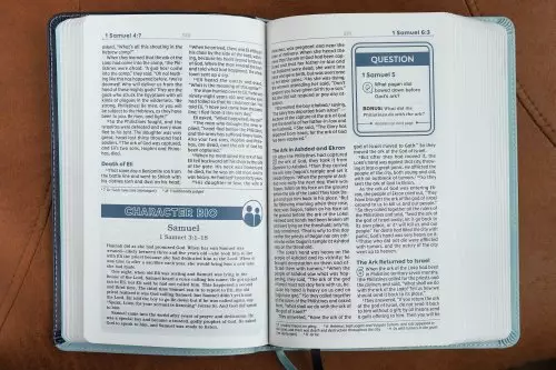 NIV, Teen Study Bible (For Life Issues You Face Every Day), Leathersoft, Teal, Comfort Print