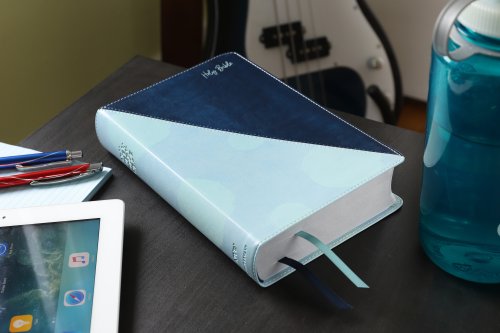 NIV, Teen Study Bible (For Life Issues You Face Every Day), Leathersoft, Teal, Comfort Print