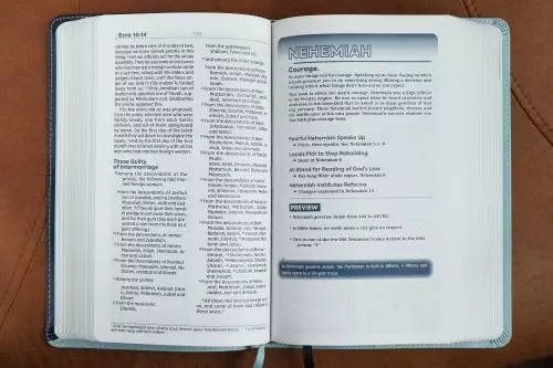 NIV, Teen Study Bible (For Life Issues You Face Every Day), Leathersoft, Teal, Comfort Print