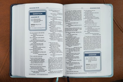 NIV, Teen Study Bible (For Life Issues You Face Every Day), Leathersoft, Teal, Comfort Print