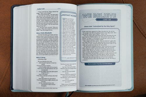 NIV, Teen Study Bible (For Life Issues You Face Every Day), Leathersoft, Teal, Comfort Print