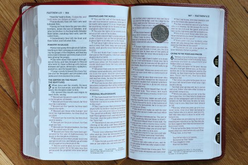 NASB, Thinline Bible, Leathersoft, Brown, Red Letter, 1995 Text, Thumb Indexed, Comfort Print