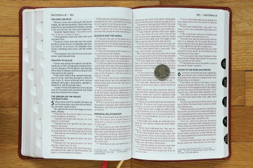 NASB, Thinline Bible, Large Print, Leathersoft, Brown, Red Letter, 1995 Text, Thumb Indexed, Comfort Print