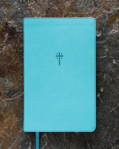 NIV, Foundation Study Bible, Leathersoft, Teal, Red Letter