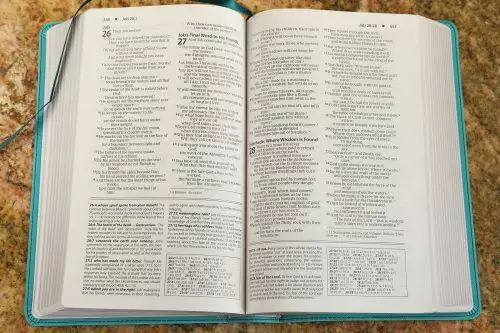 NIV, Foundation Study Bible, Leathersoft, Teal, Red Letter