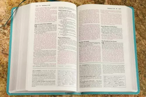 NIV, Foundation Study Bible, Leathersoft, Teal, Red Letter