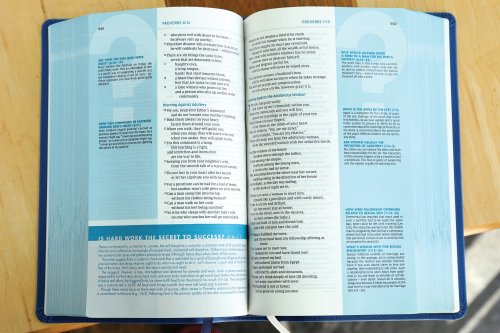 NIV, Quest Study Bible, Personal Size, Leathersoft, Blue, Comfort Print