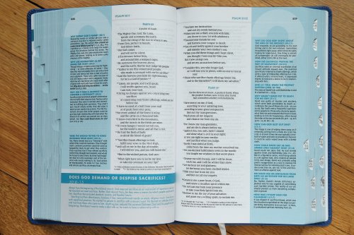 NIV, Quest Study Bible, Personal Size, Leathersoft, Blue, Thumb Indexed, Comfort Print