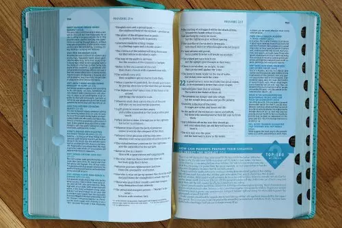 NIV, Quest Study Bible, Personal Size, Leathersoft, Teal, Thumb Indexed, Comfort Print