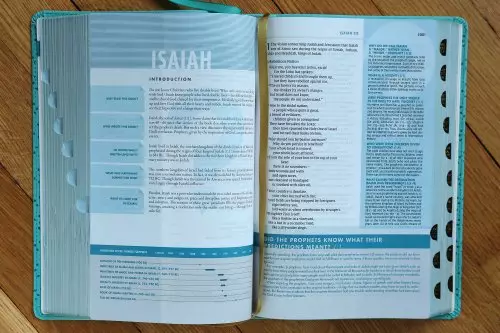 NIV, Quest Study Bible, Personal Size, Leathersoft, Teal, Thumb Indexed, Comfort Print