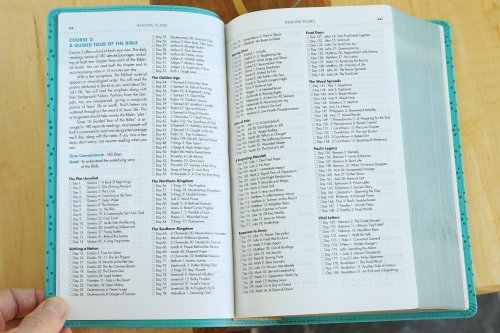 NIV, Quest Study Bible, Personal Size, Leathersoft, Teal, Comfort Print