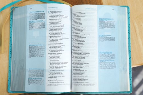 NIV, Quest Study Bible, Personal Size, Leathersoft, Teal, Comfort Print