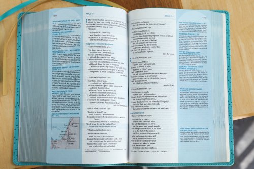 NIV, Quest Study Bible, Personal Size, Leathersoft, Teal, Comfort Print