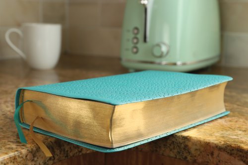 NIV, Quest Study Bible, Personal Size, Leathersoft, Teal, Comfort Print