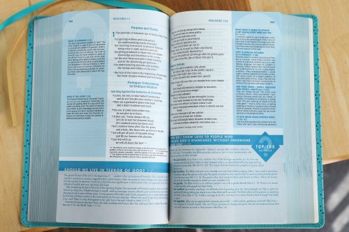 NIV, Quest Study Bible, Personal Size, Leathersoft, Teal, Comfort Print