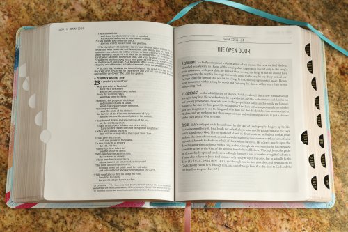 The Jesus Bible Artist Edition, NIV, (With Thumb Tabs to Help Locate the Books of the Bible), Leathersoft, Multi-color/Teal, Thumb Indexed, Comfort Print