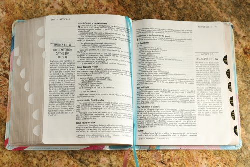 The Jesus Bible Artist Edition, NIV, (With Thumb Tabs to Help Locate the Books of the Bible), Leathersoft, Multi-color/Teal, Thumb Indexed, Comfort Print