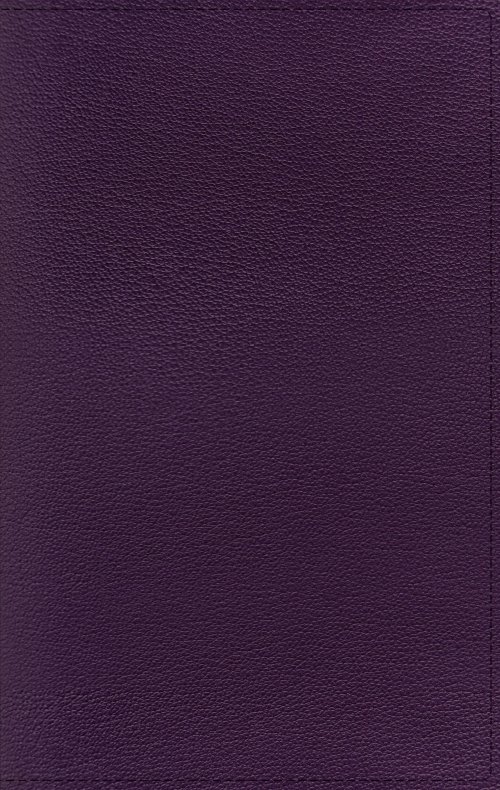 Nrsv, Personal Size Large Print Bible with Apocrypha, Premium Goatskin Leather, Purple, Premier Collection, Printed Page Edges, Comfort Print