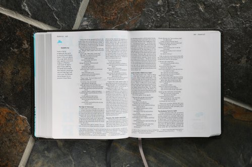 NIV, The Telos Bible, Leathersoft, Charcoal, Comfort Print