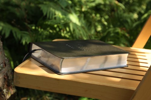 NIV, The Telos Bible, Leathersoft, Charcoal, Comfort Print