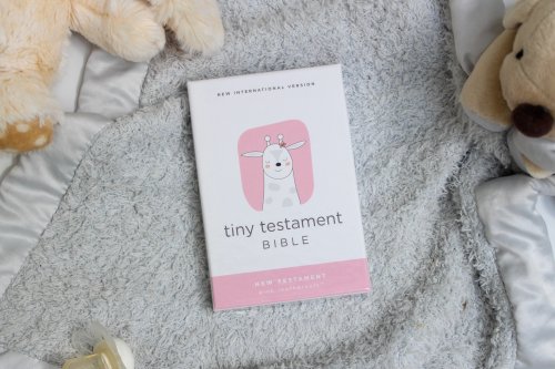 NIV, Tiny Testament Bible, New Testament, Leathersoft, Pink, Comfort Print