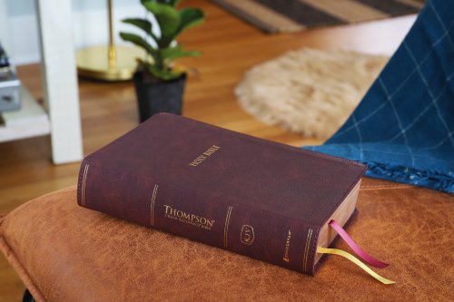 KJV, Thompson Chain-Reference Bible, Handy Size, Leathersoft, Burgundy, Red Letter, Comfort Print