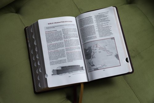 KJV, Thompson Chain-Reference Bible, Handy Size, Leathersoft, Burgundy, Red Letter, Thumb Indexed, Comfort Print