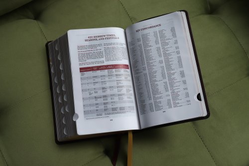 KJV, Thompson Chain-Reference Bible, Handy Size, Leathersoft, Burgundy, Red Letter, Thumb Indexed, Comfort Print