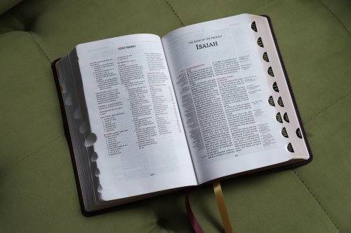 KJV, Thompson Chain-Reference Bible, Handy Size, Leathersoft, Burgundy, Red Letter, Thumb Indexed, Comfort Print