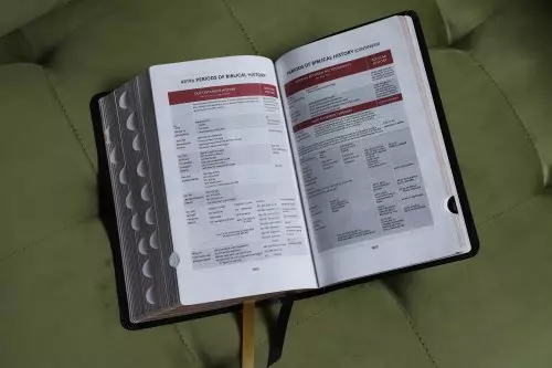 KJV, Thompson Chain-Reference Bible, Handy Size, European Bonded Leather, Black, Red Letter, Thumb Indexed, Comfort Print