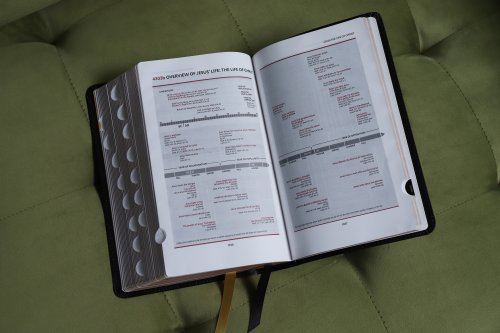 KJV, Thompson Chain-Reference Bible, Handy Size, European Bonded Leather, Black, Red Letter, Thumb Indexed, Comfort Print