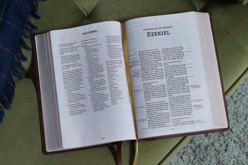 KJV, Thompson Chain-Reference Bible, Large Print, Leathersoft, Brown, Red Letter, Comfort Print