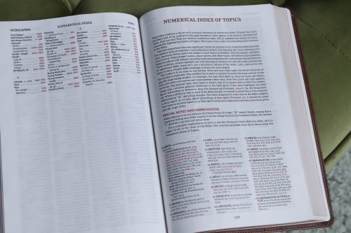 KJV, Thompson Chain-Reference Bible, Large Print, Leathersoft, Brown, Red Letter, Comfort Print