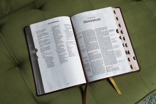 KJV, Thompson Chain-Reference Bible, Large Print, Leathersoft, Brown, Red Letter, Thumb Indexed, Comfort Print