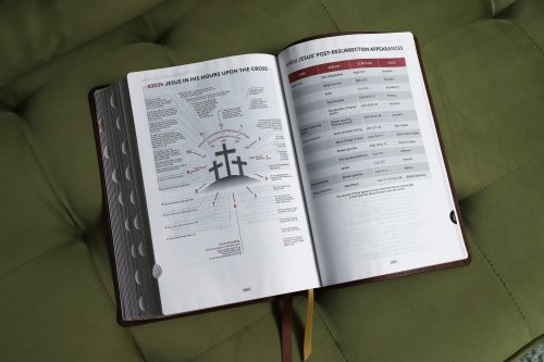 KJV, Thompson Chain-Reference Bible, Large Print, Leathersoft, Brown, Red Letter, Thumb Indexed, Comfort Print