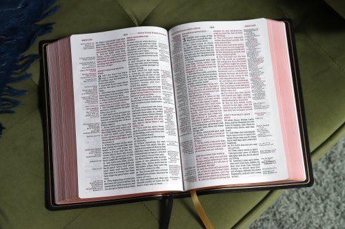 KJV, Thompson Chain-Reference Bible, Large Print, Genuine Leather, Cowhide, Black, Red Letter, Comfort Print