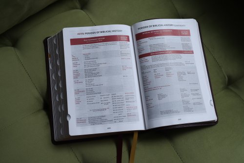 KJV, Thompson Chain-Reference Bible, Leathersoft, Burgundy, Red Letter, Thumb Indexed, Comfort Print