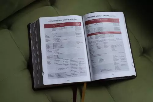 KJV, Thompson Chain-Reference Bible, Leathersoft, Burgundy, Red Letter, Thumb Indexed, Comfort Print