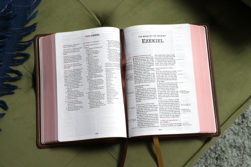 KJV, Thompson Chain-Reference Bible, Genuine Leather, Calfskin, Brown, Red Letter, Comfort Print