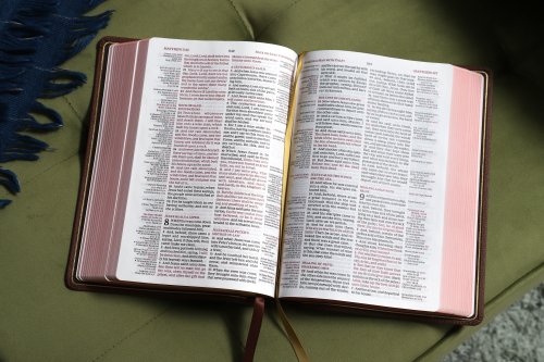 KJV, Thompson Chain-Reference Bible, Genuine Leather, Calfskin, Brown, Red Letter, Comfort Print