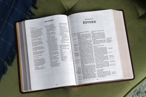 KJV, Thompson Chain-Reference Bible, Leathersoft, Burgundy, Red Letter, Comfort Print