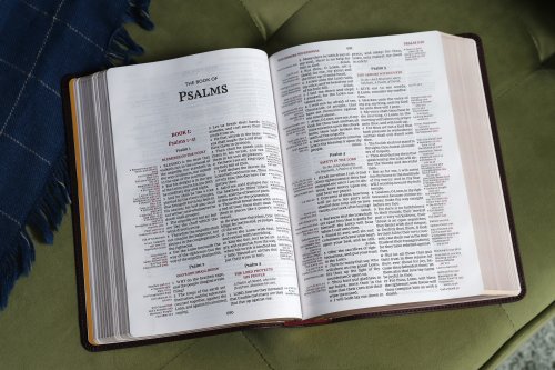 KJV, Thompson Chain-Reference Bible, Leathersoft, Burgundy, Red Letter, Comfort Print