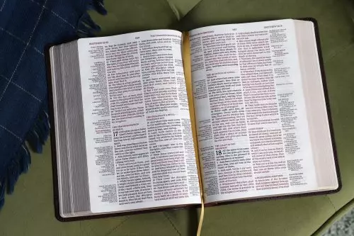 KJV, Thompson Chain-Reference Bible, Leathersoft, Burgundy, Red Letter, Comfort Print