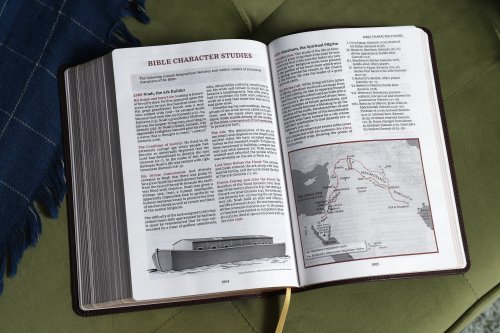 KJV, Thompson Chain-Reference Bible, Leathersoft, Burgundy, Red Letter, Comfort Print